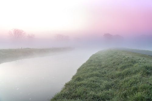 At the Dender in Idegem on a misty morning