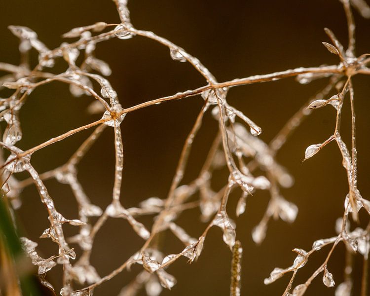 Fil de glace par Studio Liefkoos
