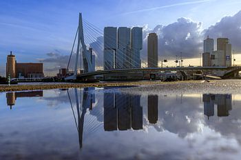Skyline von Rotterdam.