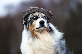 Gut behütet von Annett Mirsberger