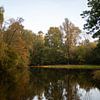 Un beau lac au milieu d'une forêt sur Roosmarijn Jongstra