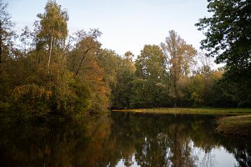 Een prachtig meer in het midden van een bos van Roosmarijn Jongstra