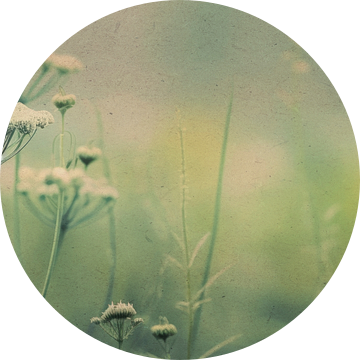 Nostalgische natuur nr. 4