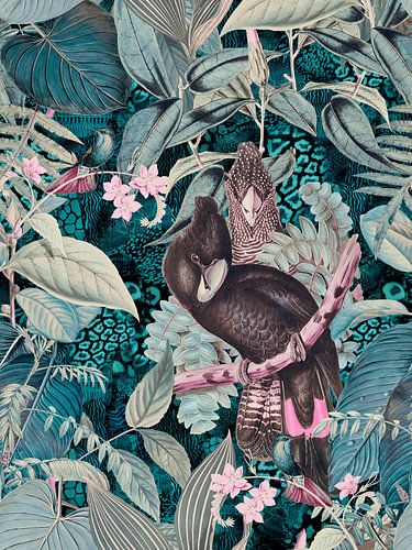 Paradijs van de kaketoes