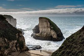 Shark Fin Cove - Davenport by Keesnan Dogger Fotografie