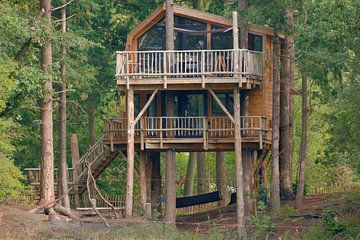 boomhut in het bos