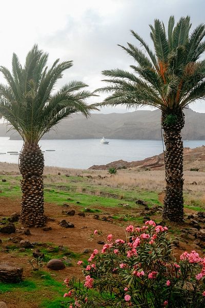 Palm trees by Myrthe Vlasveld