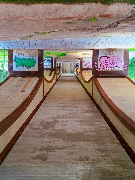 Upside down van Niek Traas