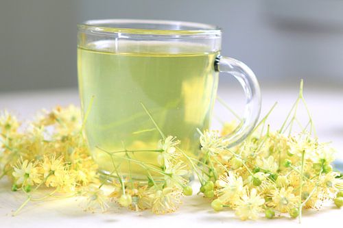 Thé à la fleur de tilleul