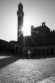 Torre del Mangia im Gegenlicht