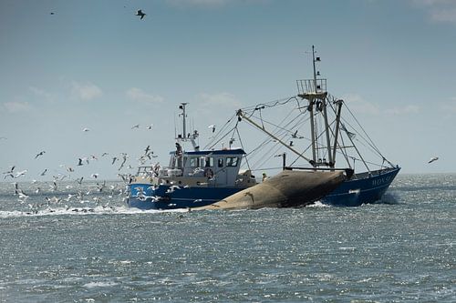 Bateau de pêche en action