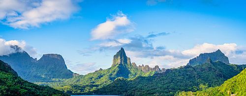 Views of Moorea, French Polynesia by Rietje Bulthuis