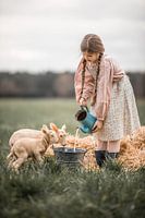 lammetjes op de boerderij
