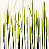 Botanische Bilder & Poster