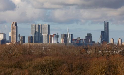 Het Feijenoord Stadion De Kuip in Rotterdam met het Park de Twee Heuvels op de voorgrond