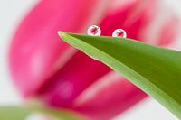 two drops