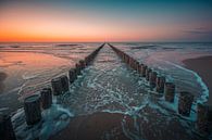 Domburg sunset pile heads 2 by Andy Troy thumbnail