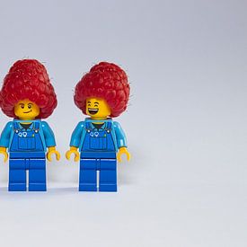De 2 met de framboos van Skyfall