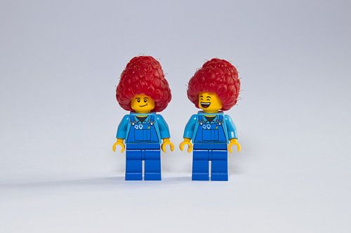 The 2 with the raspberry