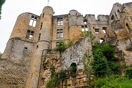 Ruine in Luxemburg von Merijn Loch
