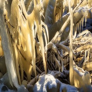 Ice sculpture