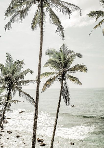 Serene Palm Coast von Shot by Clint