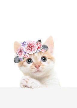 Schattig kitten met bloemen diadeem van Elles Rijsdijk