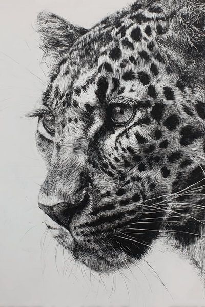 Luipaard Ingetogen Kracht in Zwart-wit Tekening van Eva Lee