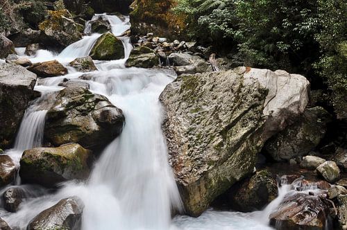 Ruwe schoonheid van de Milford Sounds in NZ