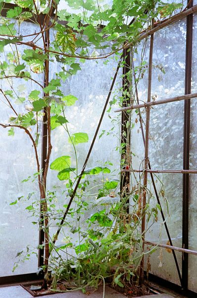 Glass house by Monja van Deurzen