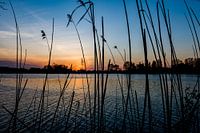 Sunset Thurgau
