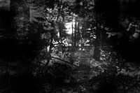 Serie verloren gevoel, beeld 1