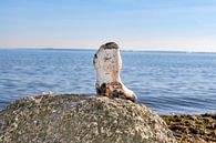 Steinstiefel am Gelben Ufer, Halbinsel Zudar auf Rügen von GH Foto & Artdesign Miniaturansicht