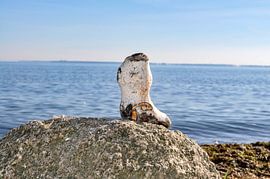Steinstiefel am Gelben Ufer, Halbinsel Zudar auf Rügen von GH Foto & Artdesign