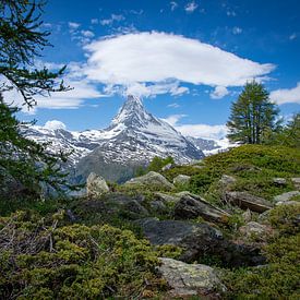 Matterhorn von Marc van Dijken