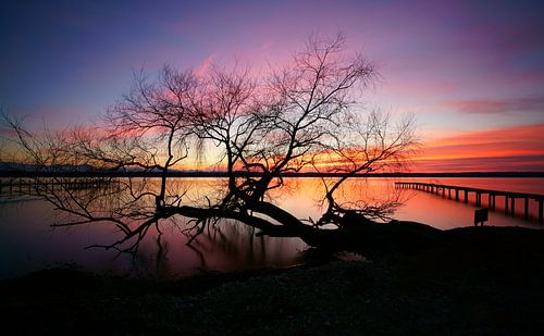 het meer van Starnberg
