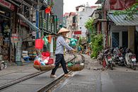 Vietnamese Transportation, Vietnam by Jelmer Laernoes thumbnail