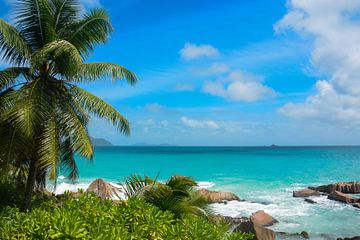 Tropical beach by Bettina Schnittert