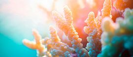 Colourful coral world by Poster Art Shop