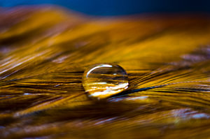 Wassertropfen