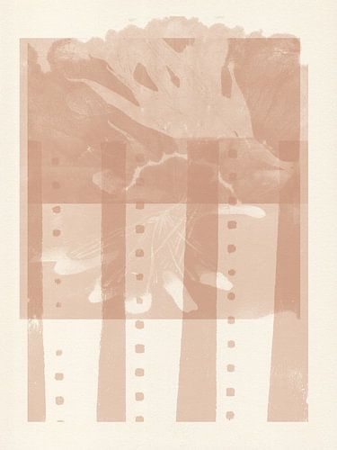 Abstracte organische en geometrische vormen in roze en wit.