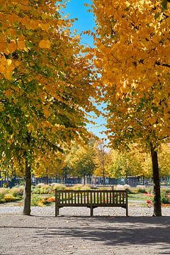 Lindebomen met gouden herfstkleuren in een park in Maagdenburg van Heiko Kueverling