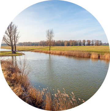 Natuurgebied Groesplaat bij Woudrichem (Noord-Brabant) van Ruud Morijn
