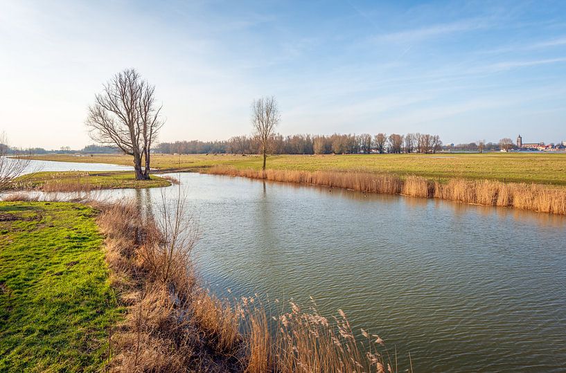 Natuurgebied Groesplaat bij Woudrichem (Noord-Brabant) von Ruud Morijn