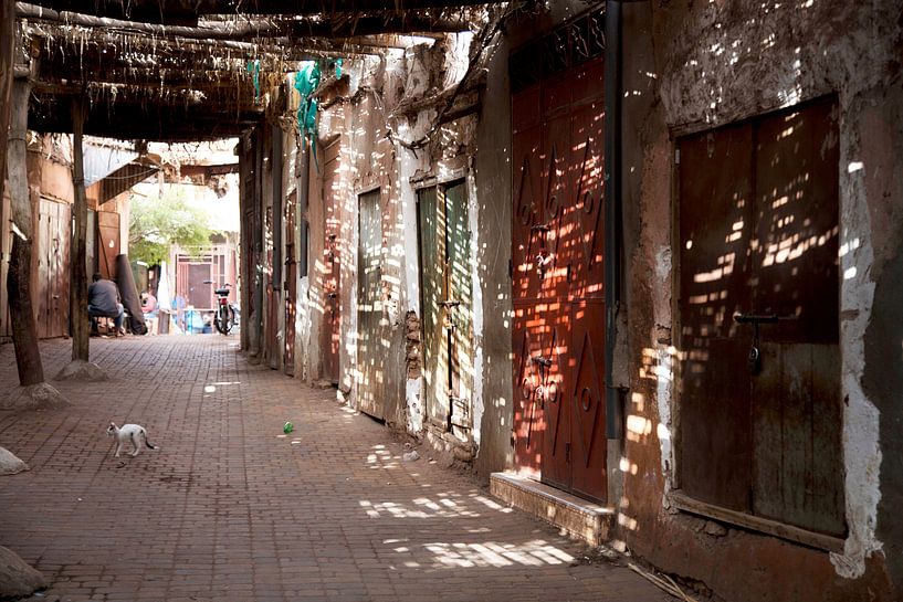 Marrakech Morocco by Veronie Hulleman