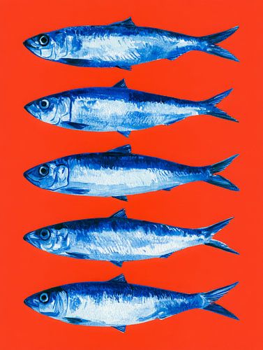 Cinq poissons d'un bleu vif