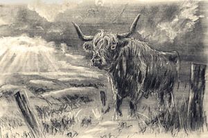Kohlezeichnung Schottischer Highlander
