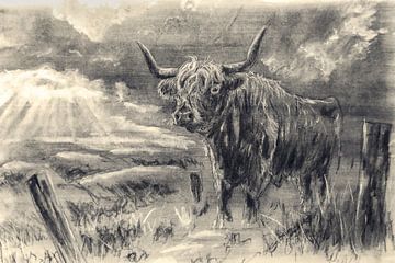 Charcoal drawing Scottish highlander