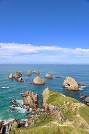 Nugget Point: Rocky Coastline full of Power and Beauty by Be More Outdoor