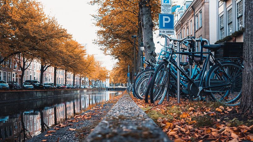 Amsterdam by Hello Pompoyo